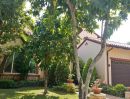 ให้เช่าบ้าน - ให้เช่า แมกโนเลียส์ เซาท์เทิร์น แคลิฟอร์เนีย บางนา-กม.7 Magnolias Southern California Bangna-KM.7 บ้านสวย น่าอยุ่