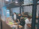 ขายอาคารพาณิชย์ / สำนักงาน - เซ้ง‼️ ร้านอาหาร-กึ่งร้านเหล้า ลาดพร้าววังหิน 71 @ตลาด 3 วัน 2 คืน