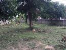 ขายบ้าน - ขายบ้านพร้อมที่ดิน หมู่บ้านสามัคคี29 ซอย เขาหมอน ( สัตหีบสุขุมวิท99) ชลบุรี