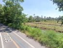 ขายที่ดิน - ขายที่ดินติดแม่น้ำเจ้าพระยา กระเพาะหมู บางกะเจ้า พระประแดง สมุทรปราการ 26 ไร่ สวยๆ