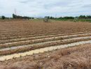 ขายที่ดิน - ขายที่ดิน3ไร่​ ติดถนน​ ใกล้มอเตอเวย์​ อยู่ในหมู่บ้าน​ ปัจจุบัน​ทำแปลงผัก​ น้ำไฟพร้อม​ สำนักคร้อ​ กาญจนบุรี​