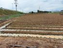ขายที่ดิน - ขายที่ดิน3ไร่​ ติดถนน​ ใกล้มอเตอเวย์​ อยู่ในหมู่บ้าน​ ปัจจุบัน​ทำแปลงผัก​ น้ำไฟพร้อม​ สำนักคร้อ​ กาญจนบุรี​