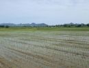 ขายที่ดิน - ขายที่ดิน ตำบลเกาะสำโรง อำเภอเมือง กาญจนบุรี ที่ดินสวย ทำเลดี บรรยากาสดี เดินทางสะดวก