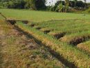 ขายที่ดิน - ขายที่ดินพื้นที่สวย บ้านทุ่งศาลา ตกลบดอนเปา อำเภอแม่วาง จังหวัดเชียงใหม่ พื้นที่ 9 ไร่ ไร่ละ 800,000บาท สามารถทำการเกษตรได้และใกล้แหล่งน้ำ