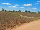 ขายที่ดิน - ถูกสุดในย่านนี้ #ขายที่ดินโคกสูง ทำเลดี วิวธรรมชาติ #ใกล้เทศบาลโคกสูง #เหมาะกับการทำบ้าน และเกษตร