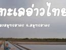 ขายที่ดิน - ที่ดินนาเกลือ บางกระเจ้า สมุทรสาคร นาเกลือ แบ่งซื้อได้ เนื้อที่ : 23 ไร่ 1 งาน 67.3 ตารางวา