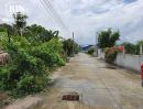 ขายที่ดิน - ขายที่374ตรว คลองกิ่ว ชลบุรี อยู่ในชุมชน มีไฟฟ้า ประปา ที่ไม่ต้องถม