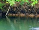 ขายที่ดิน - แปลงริมแม่น้ำเพชร4 ที่ดินติดริมแม่น้ำ ทำเลธรรมชาติที่ทุกคนใฝ่หา