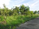 ให้เช่าที่ดิน - ให้เช่าที่ดิน ถมแล้ว ปัจจุบันเป็นสวนมะม่วง ไร่ละ 5000 บาท/เดือน