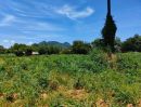 ขายที่ดิน - ขายที่ดินไทรโยค กาญจนบุรี ขนาด 19 ไร่ มองเห็นภูเขา ติดลำห้วย ใกล้แหล่งชุมชน เหมาะทำการเกษตร ปลูกบ้าน