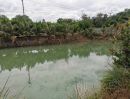 ขายที่ดิน - ขายที่ดินพร้อมสวนน้ำและสิ่งปลูกสร้าง ใกล้แม่น้ำโขง ใกล้จุดผ่านแดนไทย-ลาว‼️