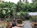 ขายบ้าน - ขายด่วนบ้านเดี่ยว บ้านสวนนครชัยศรี(Baan Suan Nakhon Chai Si) BLYH01311