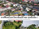 ขายที่ดิน - ขายที่ดินหน้ามหาวิทยาลัยแม่โจ้ อ.สันทราย จ.เชียงใหม่