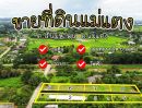 ขายที่ดิน - ขายที่ดิน101ตรวหน้ากว้าง 26 เมตร เหมาะทำบ้านสวน ที่โปร่ง สบาย