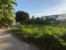ขายที่ดิน - ขายที่ดิน ใกล้โรงเรียนบางกอกพัฒนา เหมาะสร้างบ้าน Land for sale Near Bangkok Pattana School