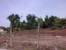 ขายที่ดิน - ขายที่ดิน 100 ตรว ใกล้วัดรวกบางสีทอง ซอยบ้านหมู่ เหมาะสร้างที่อยู่อาศัย SSP-FL-1469
