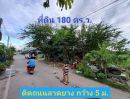 ขายที่ดิน - ขายด่วน ที่ดินคลองสาม 180 ตารางวา ติดถนนลาดยางมีไฟฟ้า ประปา @คลองสาม ซอย 1/3 อ.คลองหลวง