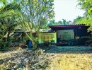 ขายที่ดิน - ขายด่วน ที่ดินถ้ำรงค์ บ้านลาด เพชรบุรี เนื้อที่ 3 ไร่ 2 งาน 96 ตารางวา ทำเลดี ใกล้ถนนเพชรเกษม