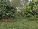 ขายที่ดิน - ขายที่สวนผลไม้จันทบุรี โฉนด 1 ไร่ ราคา 2,800,000 บาท