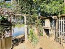 ขายบ้าน - ขายบ้านสวนติดแม่น้ำปิง ใจกลางเมืองเชียงใหม่ สำหรับคนที่กำลังมองหาบ้าน ที่ดิน ติดกับแม่น้ำปิง บ้านสวนหลังนี้ ภายในบริเวณรอบๆ ตัวบ้าน น