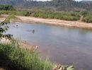 ขายที่ดิน - ขายที่ดินใกล้โครงการสะพานมิตรภาพไทยลาว อ ปากชมติดริมแม่น้ำโขง ราคาดีมากน่าเก็งกำไร