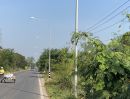 ขายที่ดิน - ขายที่ดินเปล่า 31 ไร่ 2 งาน 1 ตารางวา ติดถนนราชบุรี-คูบัว (ทล.3339) ตำบลคูบัว อำเภอเมือง จังหวัดราชบุรี