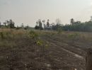 ขายที่ดิน - ขายที่ดินพร้อมสวนมะม่วงหิมพานต์ 3ไร่1งาน ราคาไร่ละ200,000บาท ตระการพืชผล