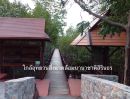 ขายที่ดิน - ขาย ที่ดิน ใกล้ทะเล 700 เมตร ซอยชะอำ 51 จังงหวัดเพชรบุรี