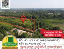 ขายที่ดิน - ขายที่ดินสวนยางพารา 22-1-74 ไร่ หลัง รร.หนองขอนวิทยา ใกล้อุทยานบึงบัว หนองช้าง เมืองอุบล