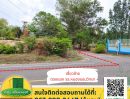 ขายที่ดิน - ขายที่ดินสวนยางพารา 22-1-74 ไร่ หลัง รร.หนองขอนวิทยา ใกล้อุทยานบึงบัว หนองช้าง เมืองอุบล