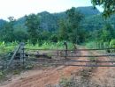 ขายที่ดิน - ขายที่ดินสวนกล้วย 33ไร่ 3 งาน ตำบลปางหมู อำเภอเมืองแม่ฮ่องสอน จังหวัดแม่ฮ่องสอน