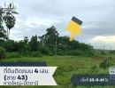 ขายที่ดิน - Land For Sale ทำเลดี อนาคตไกล อ.หนองจิก ติดถนนทางหลวง หมายเลข 43 อยู่ระหว่างแยก ดอนยาง และวงเวียนมะพร้าวต้นเดียว