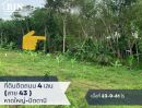 ขายที่ดิน - Land For Sale ทำเลดี อนาคตไกล อ.หนองจิก ติดถนนทางหลวง หมายเลข 43 อยู่ระหว่างแยก ดอนยาง และวงเวียนมะพร้าวต้นเดียว