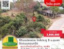 ขายที่ดิน - ขาย #ที่ดิน #แปลงสวย ขนาด 305 ตร.ว.​ ติดถนนคอนกรีต ใกล้​ประตู 3 ม.อุบลฯ