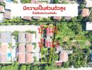 ขายบ้าน - ขายบ้านเดี่ยว ไลฟ์บางกอกบูเลอวาร์ด ราชพฤกษ์ -จรัญฯ (Life Bangkok Boulevard Ratchapruk-Charan ) ติดพื้นที่สวน มีความเป็นส่วนตัวสูง
