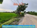 ขายที่ดิน - ขายด่วน! ที่ดินสีม่วง 5 ไร่ติดถนน นบ.3015 ต.ไทรใหญ่ อ.ไทรน้อย