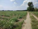 ขายที่ดิน - ขายที่ดิน 39ไร่ จอมบึง ราชบุรี เหมาะสำหรับทำการเกษตร หรือ ทำโครงการจัดสรรพื้นที่