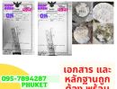 ขายที่ดิน - ขายที่ดินในอำเภอเมืองภูเก็ต , Sale Land in Phuket Town 3.5M, Mueang Phuket District 出售土地，Phuket Town 出售土地 3.5M 土地面积