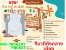 ขายที่ดิน - ขายที่ดินในอำเภอเมืองภูเก็ต , Sale Land in Phuket Town 3.5M, Mueang Phuket District 出售土地，Phuket Town 出售土地 3.5M 土地面积