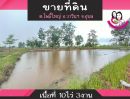 ขายที่ดิน - ขายที่ดิน เหมาะสำหรับทำการเกษตร เนื้อที่ 10ไร่ 3งาน ตำบลโพธิ์ใหญ่ อ.วารินชำราบ จ.อุบลราชธานี