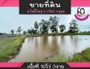 ขายที่ดิน - ขายที่ดิน เหมาะสำหรับทำการเกษตร เนื้อที่ 10ไร่ 3งาน ตำบลโพธิ์ใหญ่ อ.วารินชำราบ จ.อุบลราชธานี