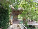 ขายบ้าน - ขายบ้านสวนใกล้โรบินสันปราจีน ต.โนนห้อม อ.เมืองปราจีนบุรี ตัวบ้านสไตล์คาเฟ่ ในสวนมีผลไม้