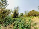 ขายที่ดิน - ขายที่ดินติดแม่น้ำแควน้อย ไทรโยค กาญจนบุรี 5 ไร่ ใกล้อุทยานประวัติศาสตร์ เมืองสิงห์