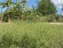 ขายที่ดิน - ขาย ที่ดินห้วยใหญ่ ติดถนน ชลบุรี พัทยา 100 วา อําเภอบางละมุง จังหวัดชลบุรี