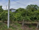 ขายที่ดิน - ขายบ้านพร้อมสวนมะม่วง400ต้นใกล้สถานที่ท่องเที่ยว/โรงพยาบาล