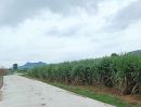 ขายที่ดิน - ที่ดินแปลงใหญ่ 114 ไร่ ใกล้ถนนสายหลัก สระบุรี-หล่มสัก อ.ชัยบาดาล ลพบุรี ราคาถูก