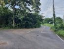 ขายที่ดิน - ขายที่ดินสันป่าตองยุหว่าติดถนนลาดยางใกล้เมืองพร้อมโอน
