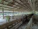 ขายที่ดิน - ขายฟาร์มหมู ในตำบลดอนทราย อำเภอปากท่อ จังหวัดราชบุรี บนพื้นที่ 36 ไร่ 2 งาน 84 ตารางวา ราคา 22,026,000 บาท