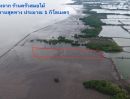 ขายที่ดิน - ขายที่ดินชายหาดริมทะเล อยู่คลองด่าน บางบ่อ สมุทรปราการ 7ไร่1งาน64ตรว. ที่ดินเป็นโฉนด 1650/ตรว