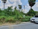 ขายที่ดิน - ขาย ที่ดิน ติดถนน เนื้อที่ 13 ไร่ 64 วา ท่าอิฐ นนทบุรี